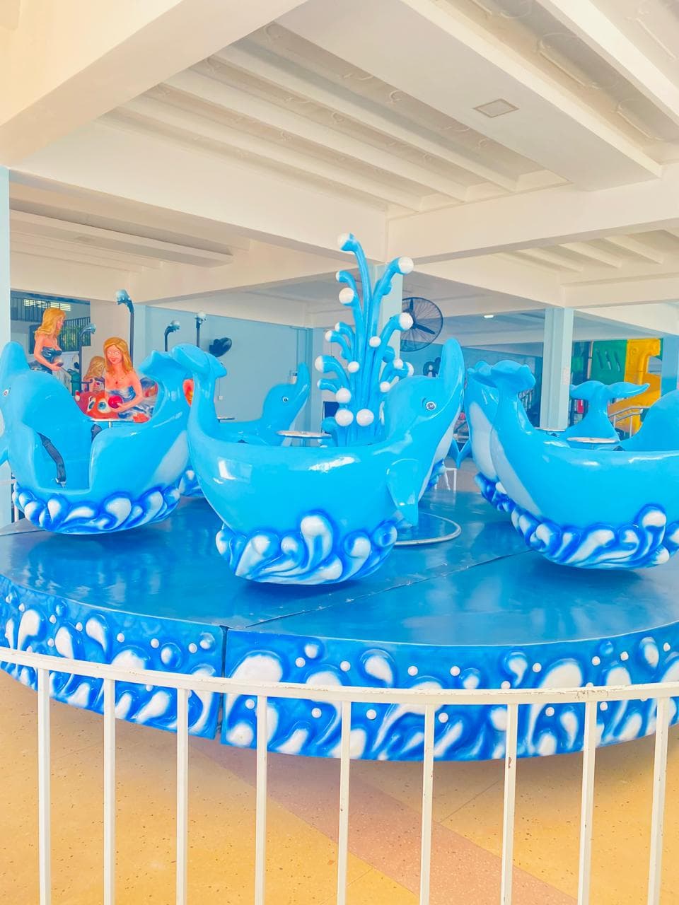 Dolphin Fun